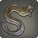 Giant Eel - Fish - Items