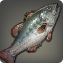 Gigant Bass - Fish - Items