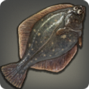 Glass Flounder - Fish - Items