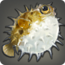 Globefish - Fish - Items
