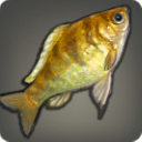 Golden Cichlid - Fish - Items