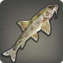 Gravel Gudgeon - Fish - Items