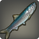 Grinning Anchovy - Fish - Items