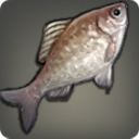 Hak Bitterling - Fish - Items
