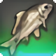Hermit's End - Fish - Items