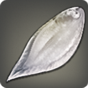 Ivory Sole - Fish - Items