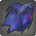 Monk Betta - Fish - Items