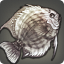 Moondisc - Fish - Items