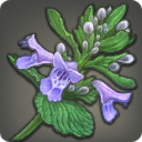 Nipplewort - Reagents - Items