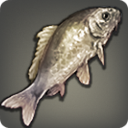 Nogoi - Fish - Items