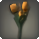 Orange Tulips - New Items in Patch 4.2 - Items
