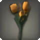 Orange Tulips - Miscellany - Items