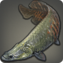 Pagan Pirarucu - Fish - Items