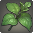 Persimmon Leaf - Reagents - Items