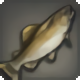 Plump Trout - Fish - Items