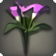 Purple Arums - Miscellany - Items