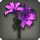 Purple Brightlilies - New Items in Patch 4.1 - Items