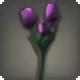 Purple Tulips - New Items in Patch 4.2 - Items