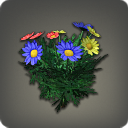 Rainbow Daisies - Miscellany - Items