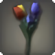 Rainbow Tulips - Miscellany - Items