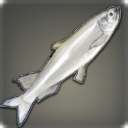 Regal Silverside - Fish - Items