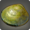 River Clam - Fish - Items