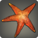 Ruby Sea Star - Fish - Items