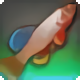 Sapphire Fan - Fish - Items