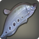 Scimitarfish - Fish - Items