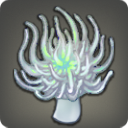 Sea Lamp - Fish - Items