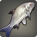 Silken Koi - Fish - Items