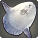 Silken Sunfish - Fish - Items