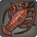 Spiny Lobster - Fish - Items