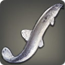 Steel Loach - Fish - Items