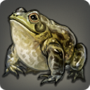 Steppe Bullfrog - Fish - Items