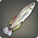 Tail Mountains Minnow - Fish - Items