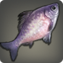 Tao Bitterling - Fish - Items
