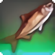 The Winter Queen - Fish - Items