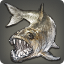 Tithe Collector - Fish - Items