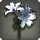 White Brightlilies - Miscellany - Items
