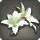White Brightlily Corsage - New Items in Patch 4.1 - Items