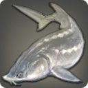 White Sturgeon - Fish - Items