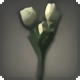 White Tulips - Miscellany - Items