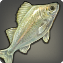 Wraithfish - Fish - Items