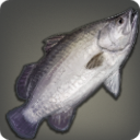 Yanxian Barramundi - Fish - Items