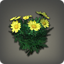 Yellow Daisies - Miscellany - Items