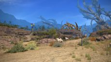 Final Fantasy XIV - Screenshot