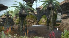 FFXIV - Southern Thanalan