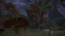 Final Fantasy XIV - Screenshot