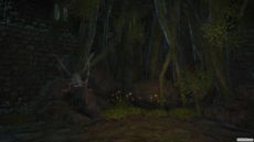 Final Fantasy XIV - Screenshot Final Fantasy XIV - Screenshot